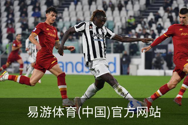 易游体育(中国)官方网站公司介绍